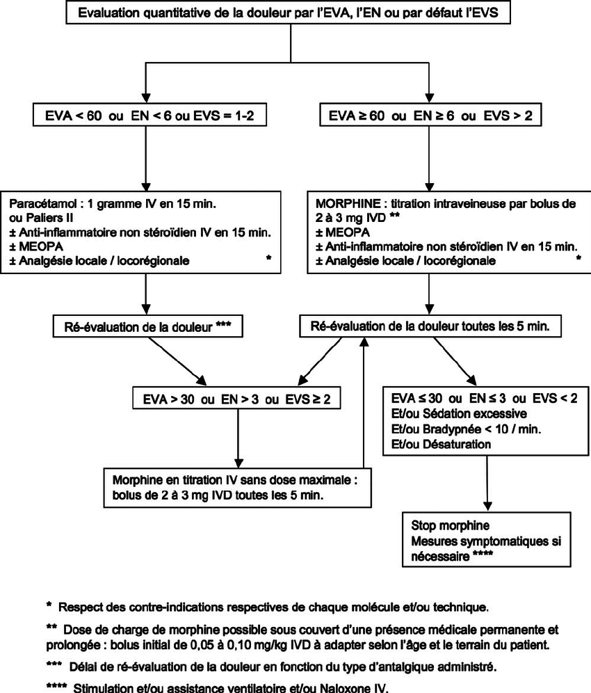 Recommandations formalisées d’experts 2010: sédation et analgésie en structure d’urgence (réactualisation de la conférence d’experts de la SFAR de 1999)